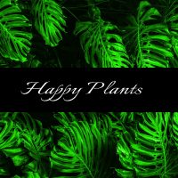 happy-plants